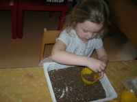 DSCN5370.jpg