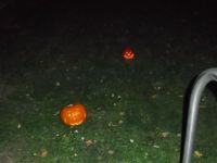 DSCF1645.jpg
