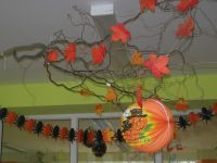 DSCN2875.jpg