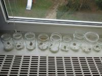 IMG_0924.jpg