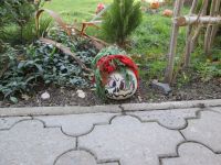 IMG_0072.jpg