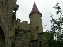 image37.jpg