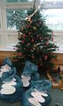 20151207_110454.jpg