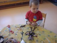 DSC03115.jpg
