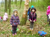 DSCN6272.JPG
