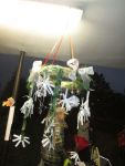 IMG_2975.jpg