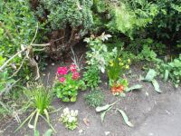 DSCN1153.JPG