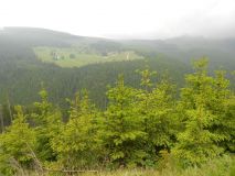 DSCN1755.JPG
