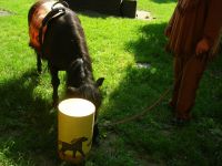 DSCN2432.jpg