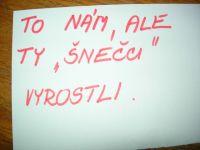 DSCN1511.jpg