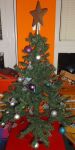 DSCF6037.jpg
