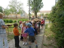 DSCN1630.JPG