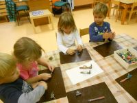 DSCN1607.jpg
