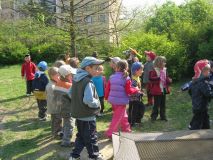 image41.jpg
