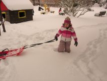 DSCN9522.JPG
