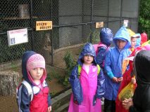 image13.jpg