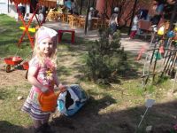 DSCF3338.jpg