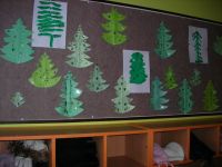 DSCN1509.jpg