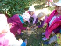 DSCN1616.jpg