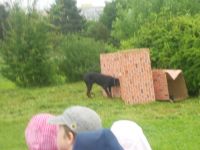 DSCN0446.JPG