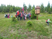 DSCN1768.JPG