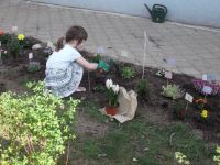 DSCF3268.jpg