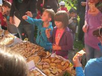 DSCN2811.jpg