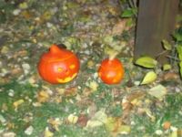 DSCF1647.jpg