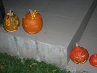 DSCN3891.jpg