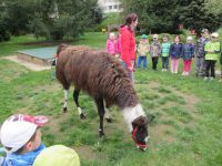 IMG_1204.jpg
