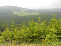 DSCN1760.JPG