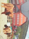 DSCN1921.JPG