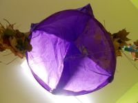 DSCN2906.jpg