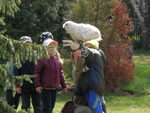 image010.jpg