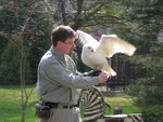 image011.jpg