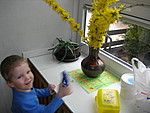 img039.jpg