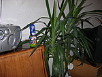 img045.jpg