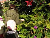 DSCN8045.JPG
