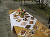DSCN8311.JPG