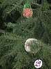 DSCN8371.JPG