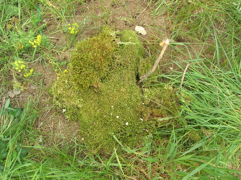 DSCN8689.JPG