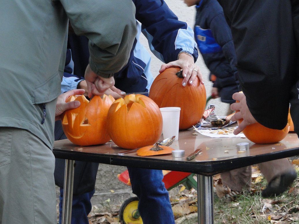 DSC02178.JPG