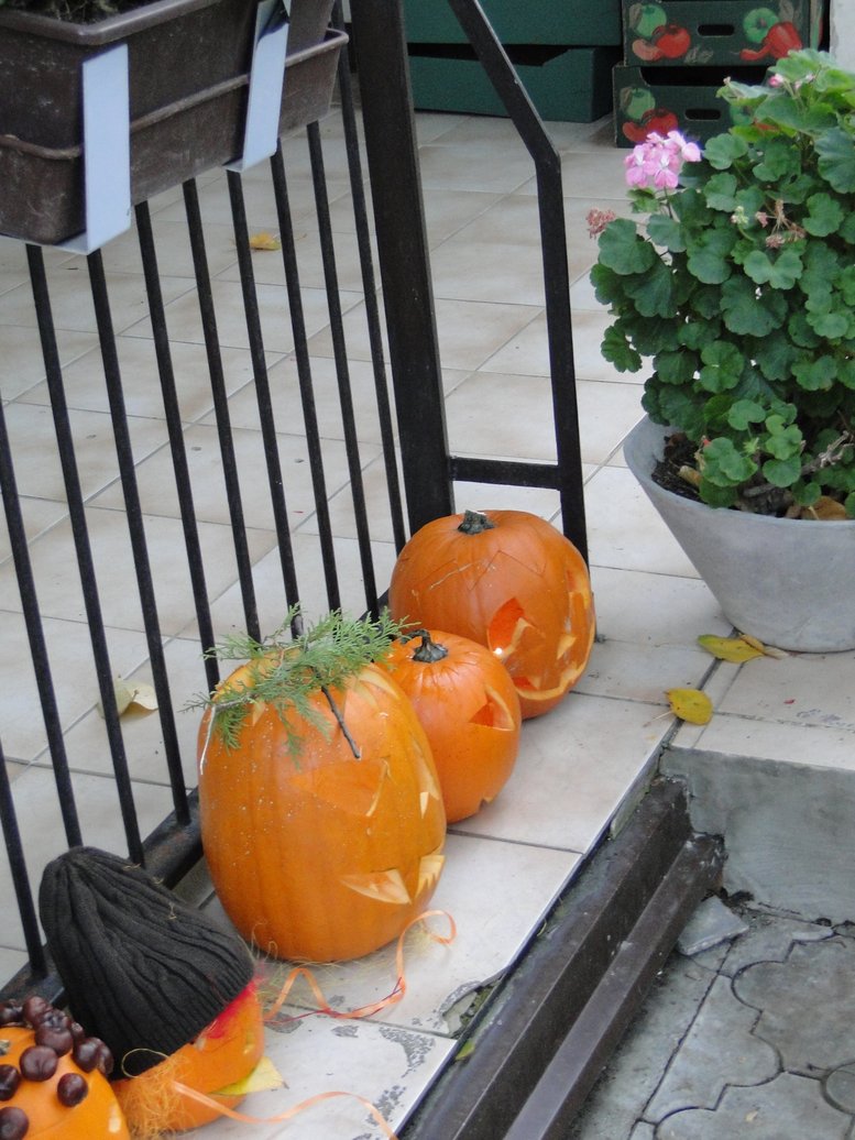 DSC02207.JPG