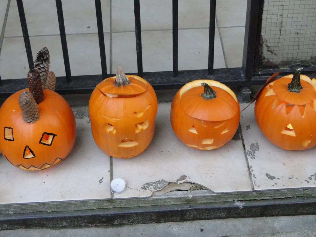 DSC02214.JPG