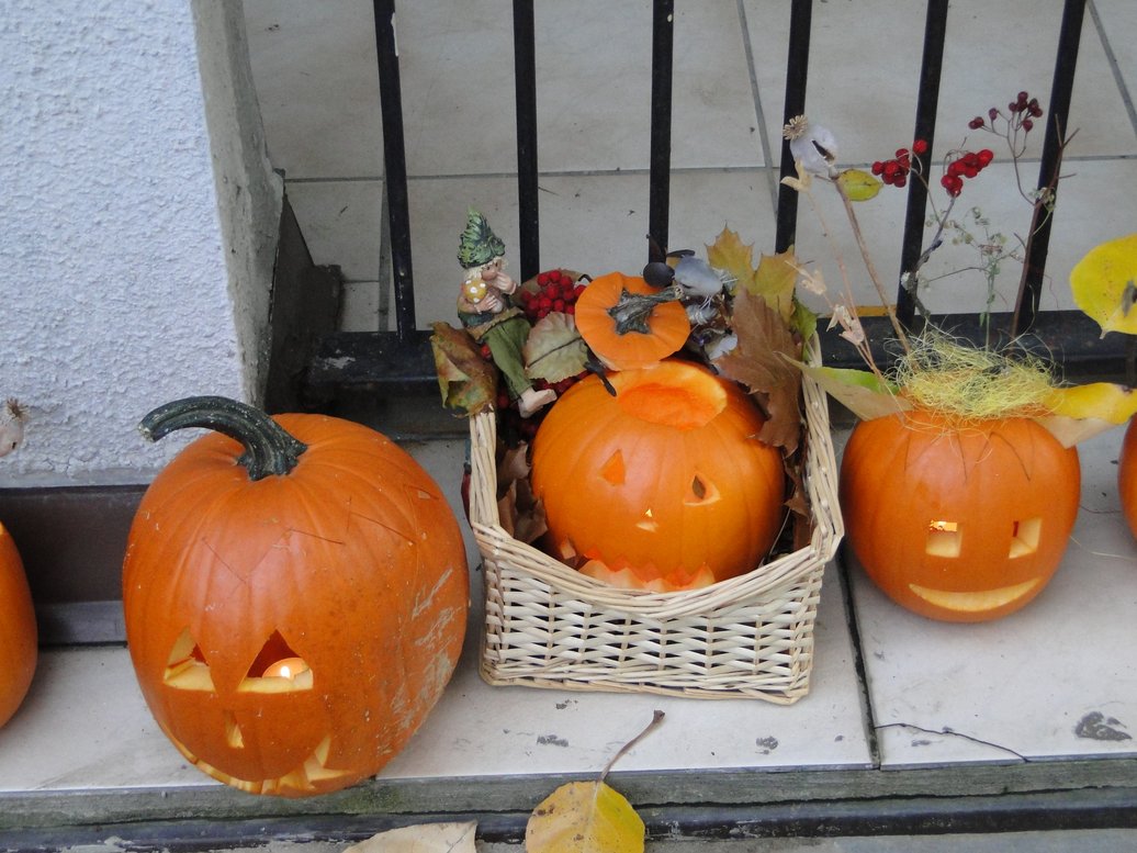 DSC02216.JPG