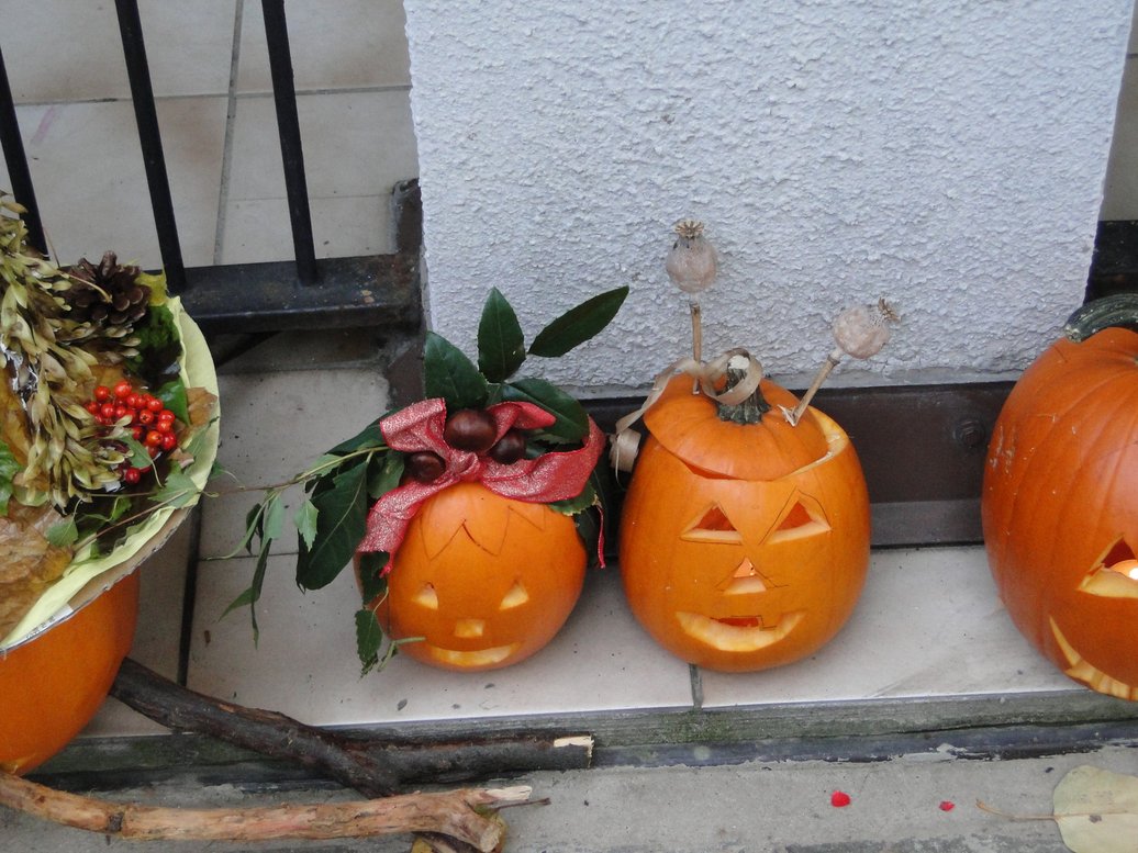 DSC02217.JPG