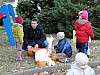 DSC02137.JPG