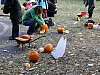 DSC02158.JPG