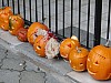 DSC02190.JPG