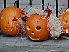DSC02193.JPG